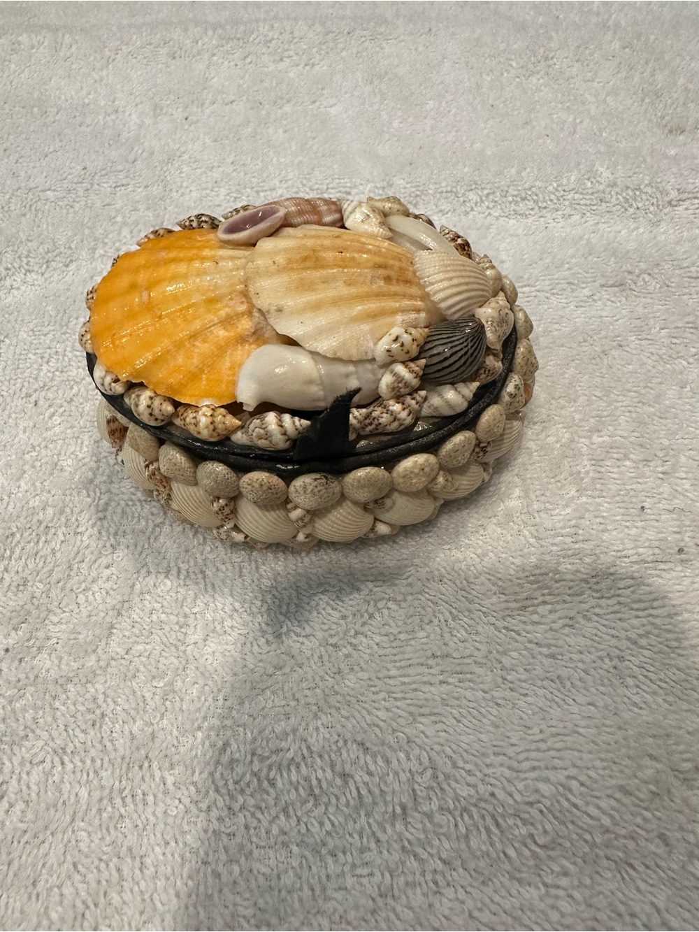 Vintage Decorative Seashell Trinket Box - Natural & Orange